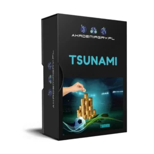 Wyszukiwarka Tsunami na 1 rok
