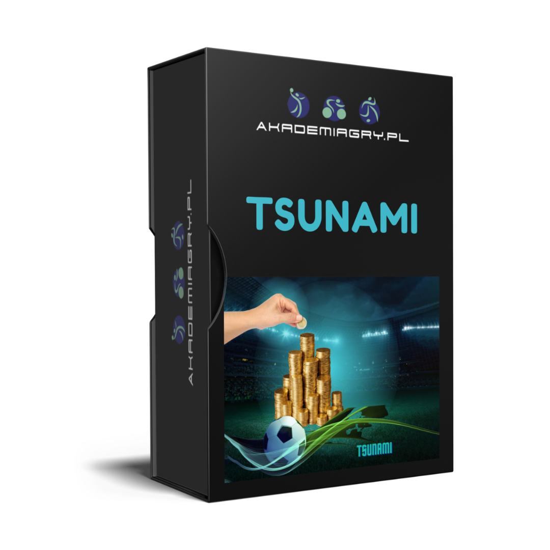 tsunami